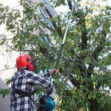 Κονταροπριονο  ΜΑΚΙΤΑ   βενζινης 4χρονο ΕΥ2650Η